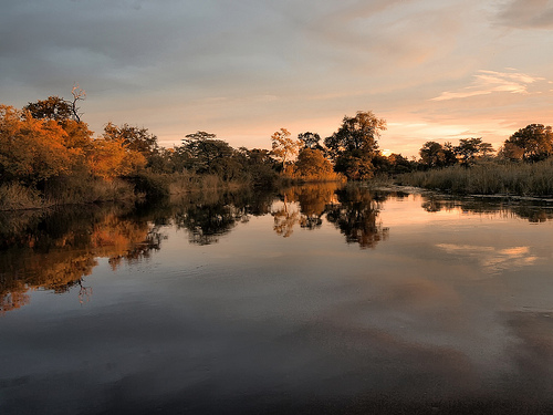 Linyanti Swamp
